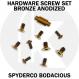 Titanium Replacement Hardware Screw Set for Spyderco Bodacious