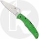 Spyderco Pacific Salt 2 Knife - C91FPGR2 - LC200N Drop Point - Green FRN - Lock Back